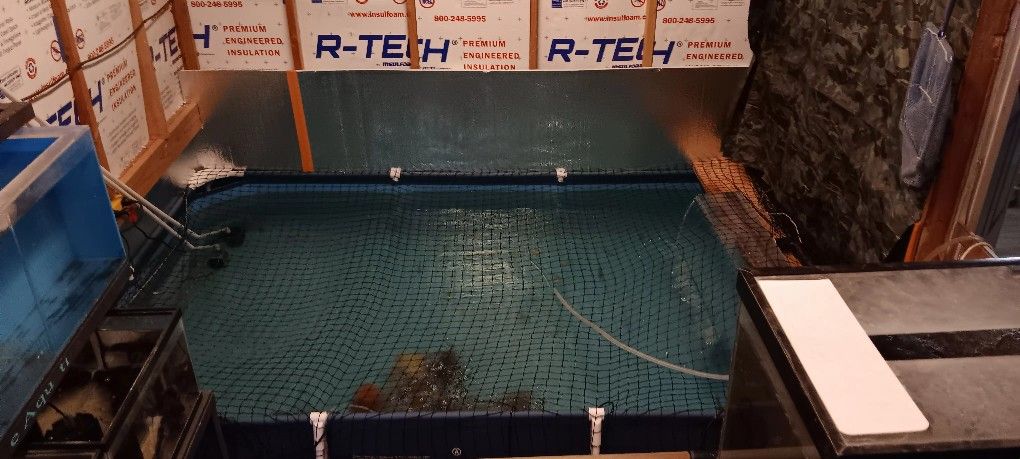 Fish tank décor.