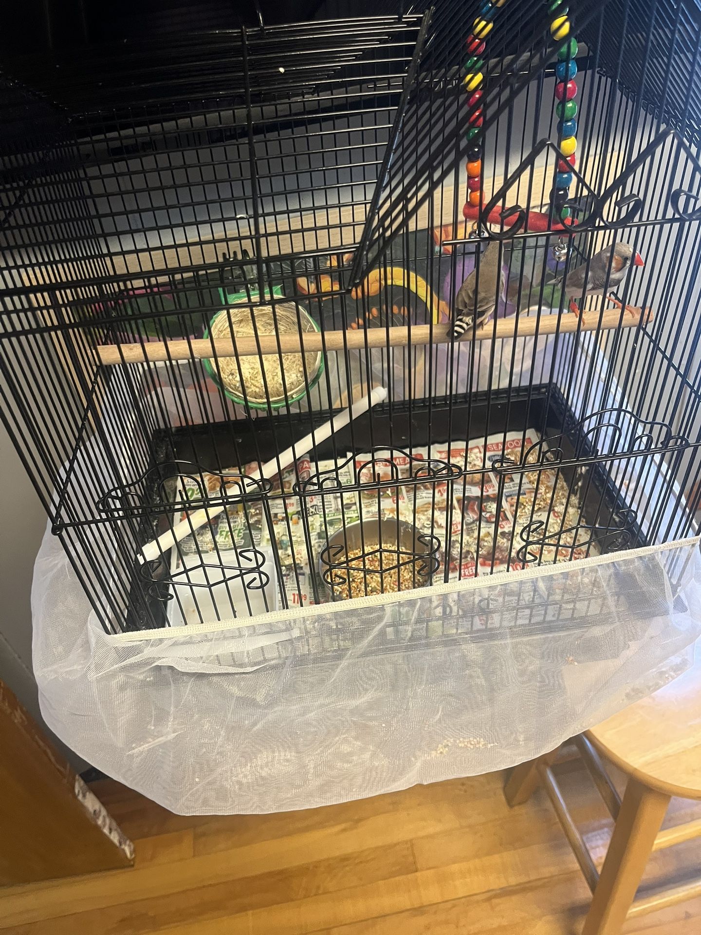 bird cage medium