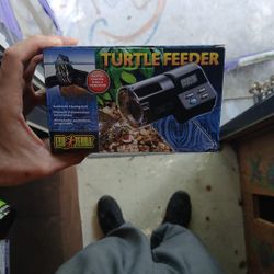 Automatic Turtle Feeder