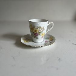 Rare 1889 Bavarian China – Elegant Floral Antique