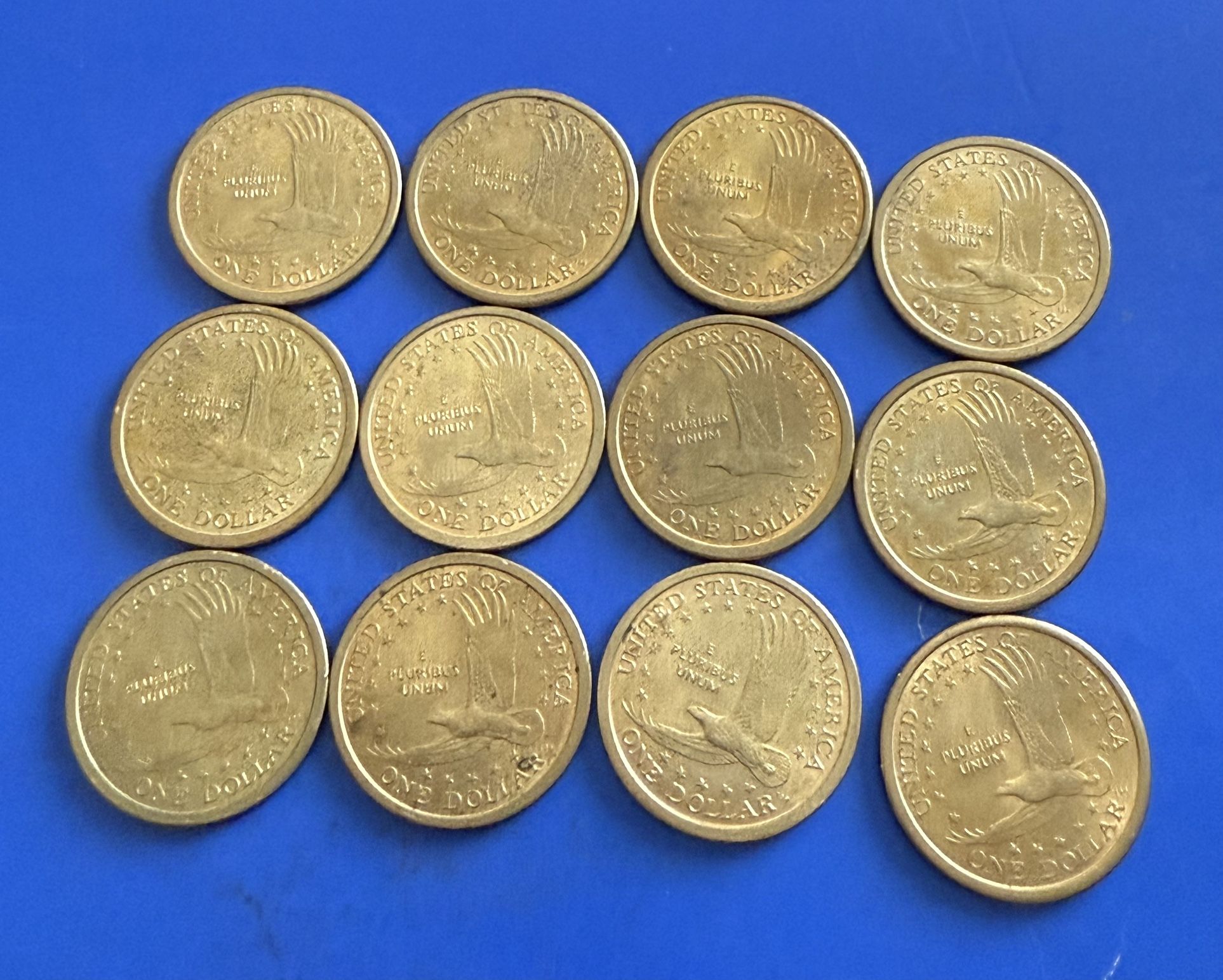12 Of The 2000 D Sacagawea Dollar