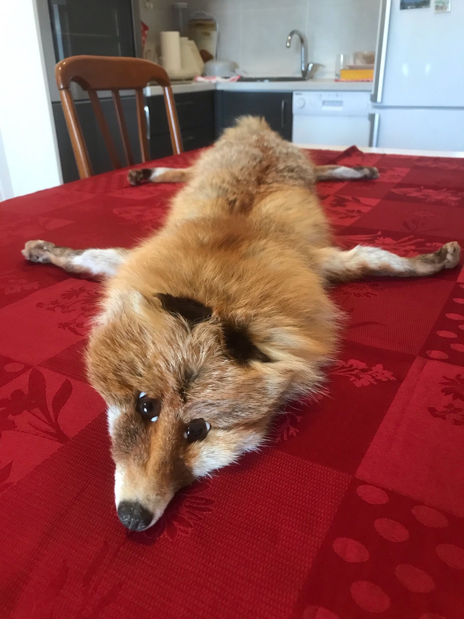 Vintage Full Pelt Fox Stole