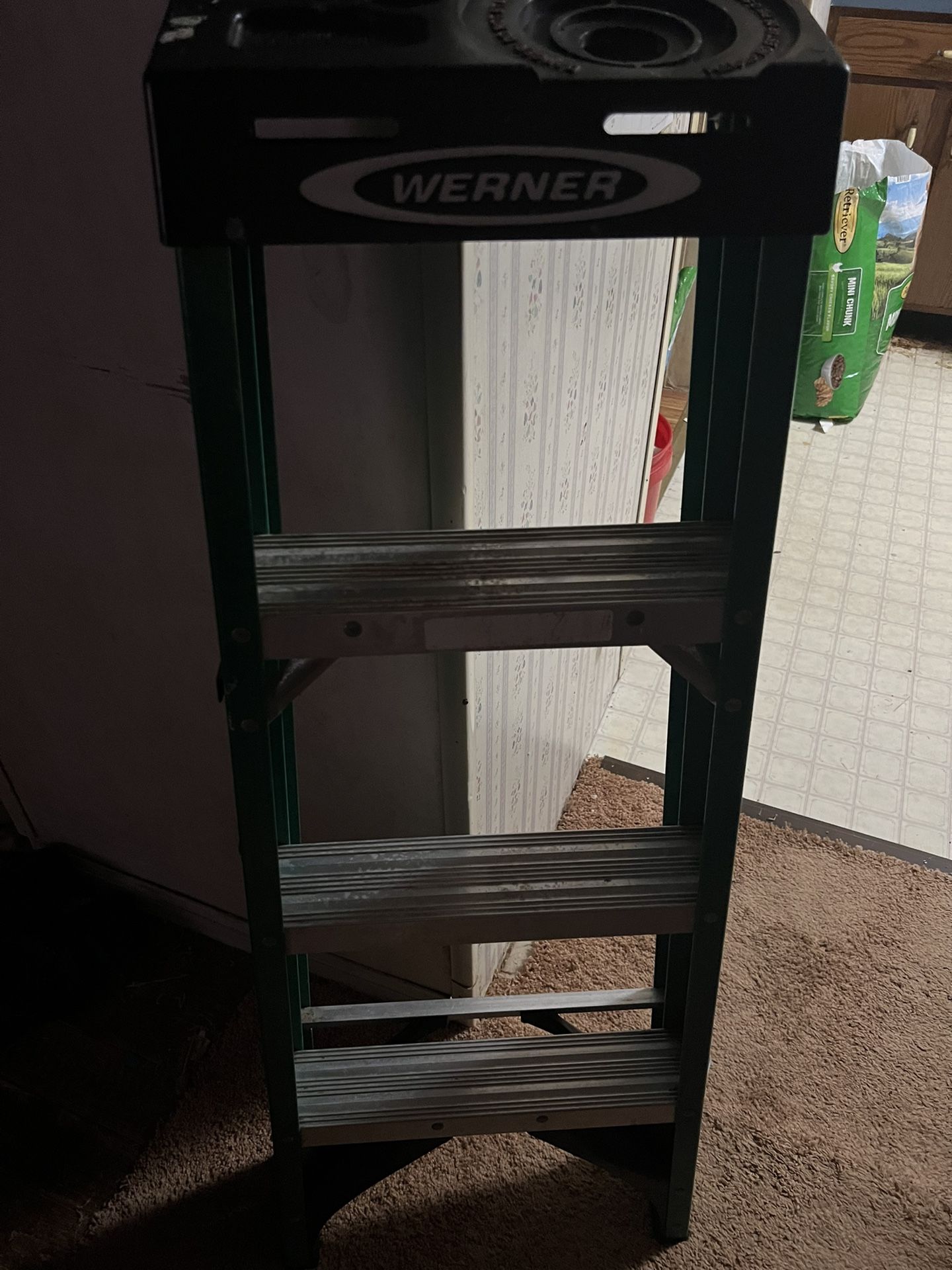 Werner 4ft Ladder