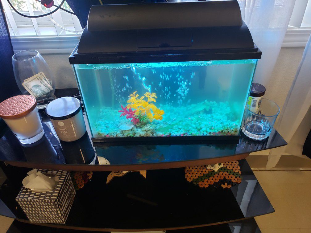 Aquarium With 2 Fish, A Filter And Airpump, Led Light, And A Heater 