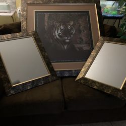 Picture frame  /2  Side Mirrors 