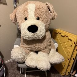 Big Stuffed Dog