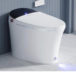 smart toilet