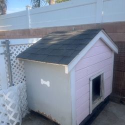 Dog House 