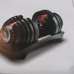 1- Adjustable Dumbbell 52.5 lbs