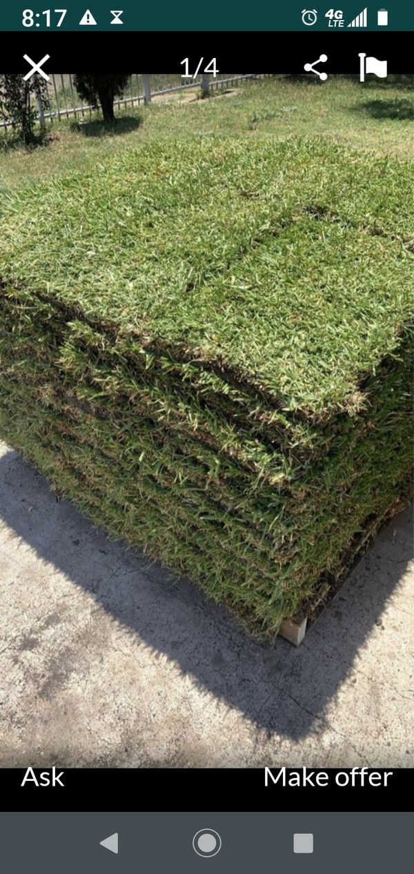 Sod 1.85 a piece st Augustine for Sale in Arlington, TX ...