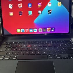 Like New iPad Pro 12.9 4th Generation 128g