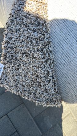 Brand new carpet 12x37 feet