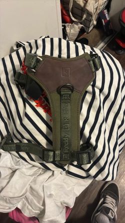 Reddy dog harness