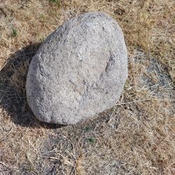 Landscaping Boulder Rock Yard Decor 