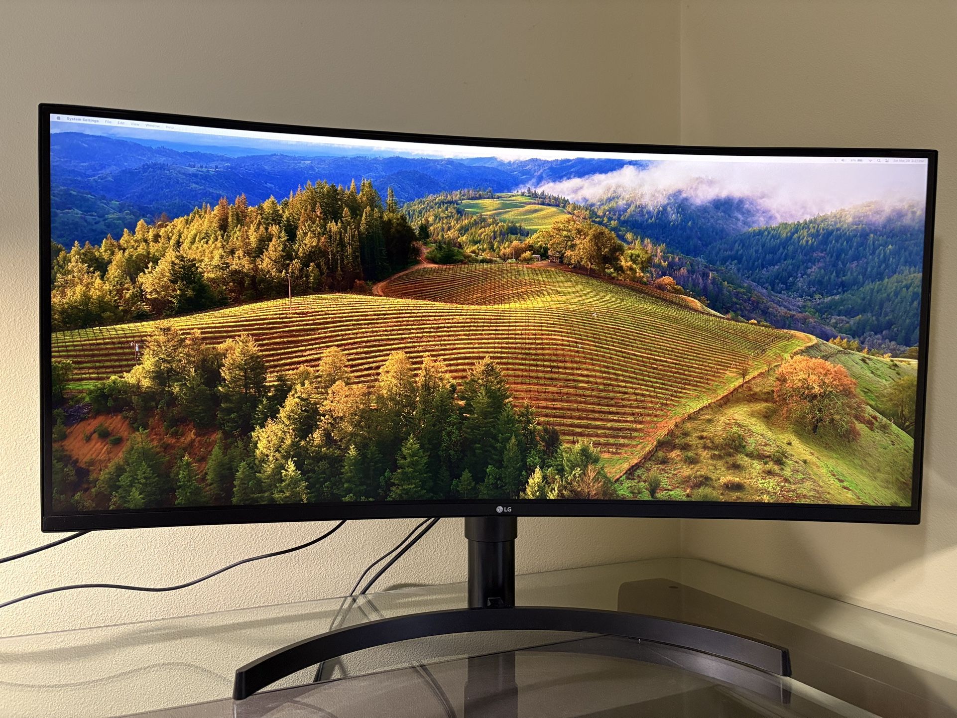 LG Ultrawide Curved Monitor
