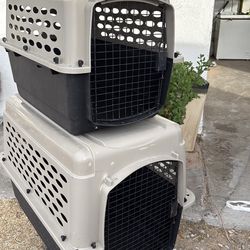Dog kennel