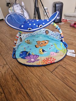Baby Play Gym