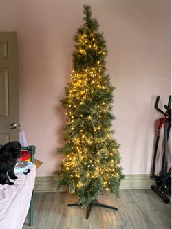 7 FT Cashmere Tree