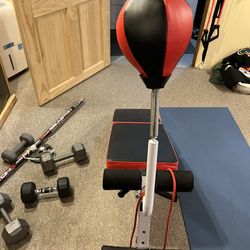 Sit Up Bench W/incline, Resistance Bands