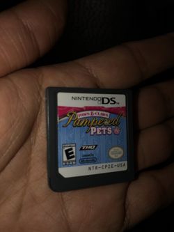 Nintendo DS game