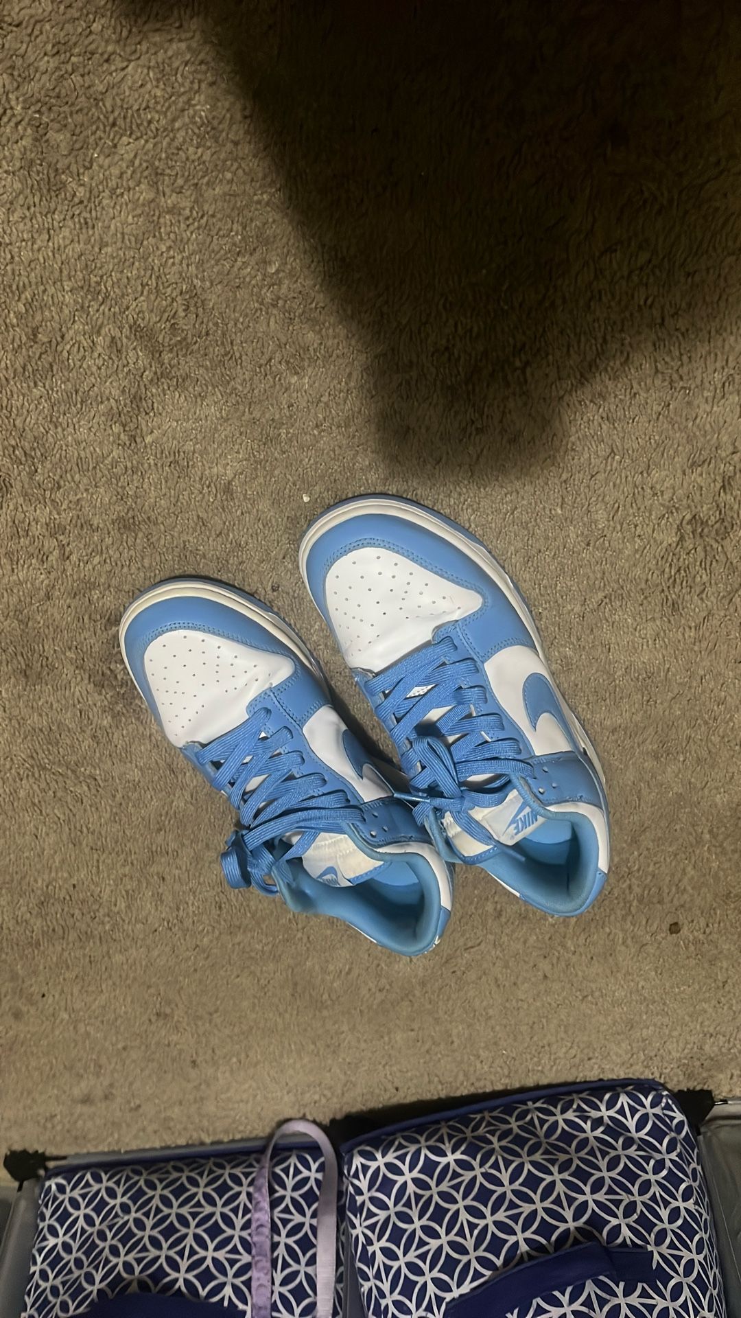 Low top Blue Nike Dunks