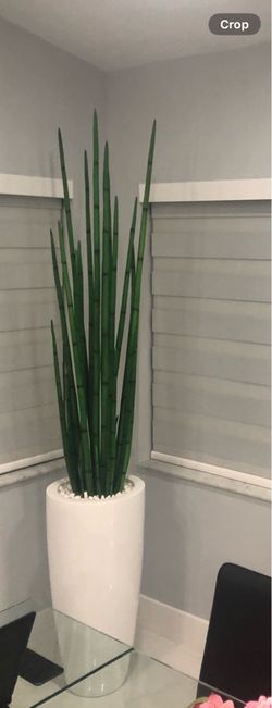 Tall Artificial Snake Plant with White Floor Planter