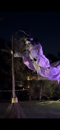 Halloween Animatronic Witch $399 or best offer