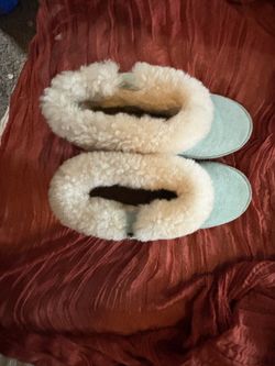 Bear Paw