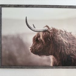 Highland Cow Canvas Wall Art