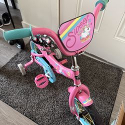 Toddler Bike 