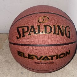 Spalding Indoor & Outdoor Basketball 