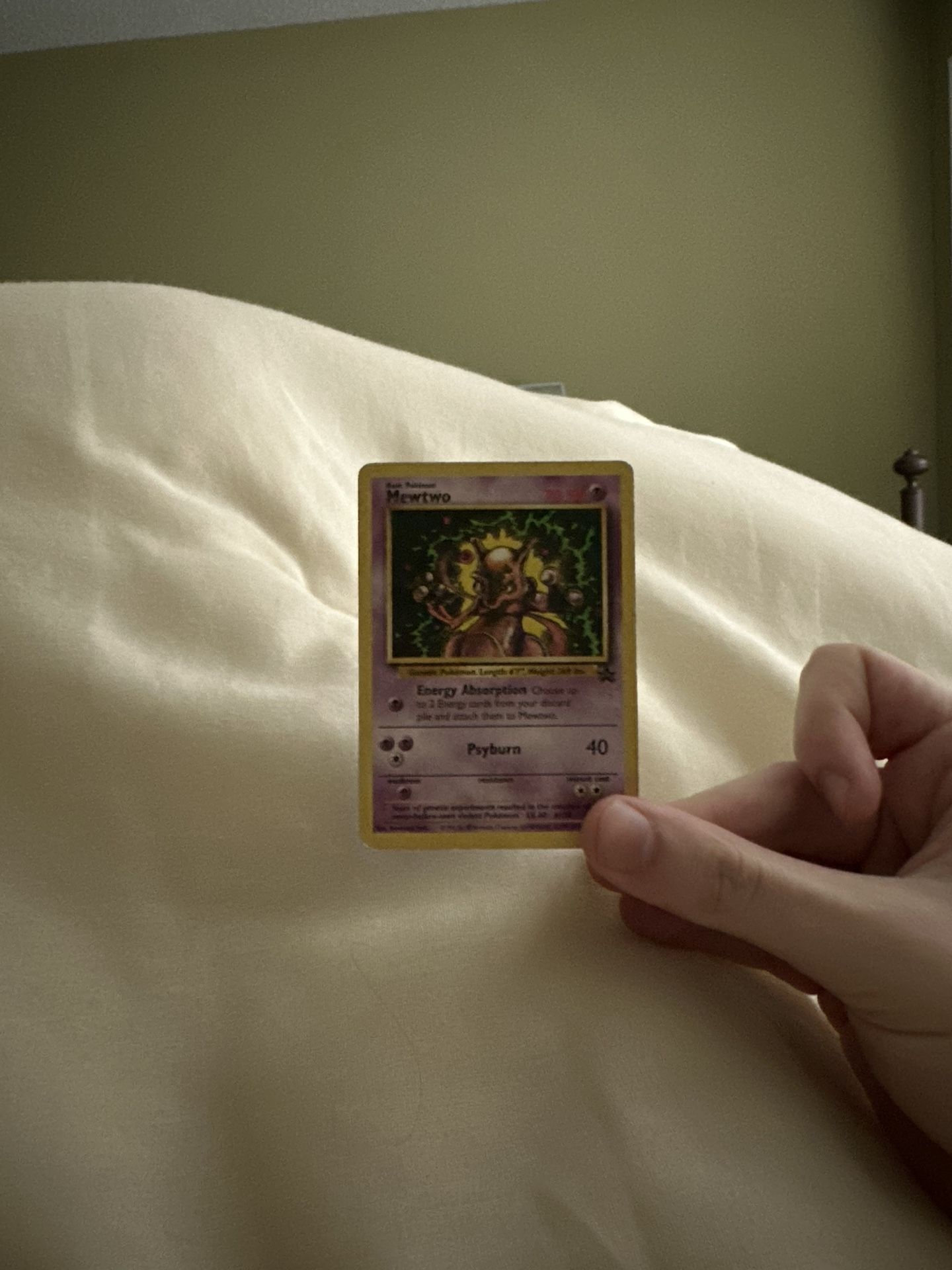 Pokémon/Yugioh cards