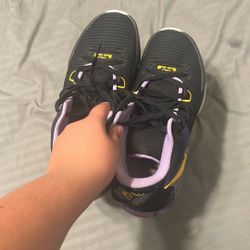 LeBron wistness VII basket ball shoes