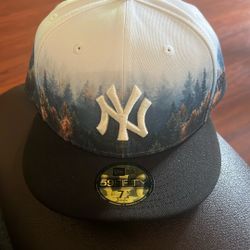 New York Yankee Hat