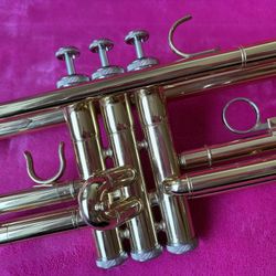 🎺 Trumpet - New Condition - $160