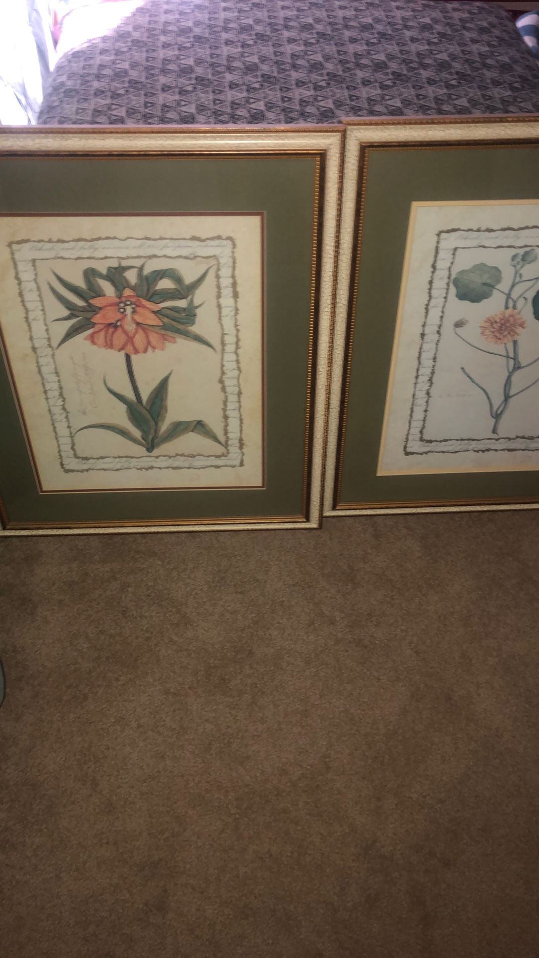 Botanical Pictures. 21x25. Nice Frames And Matte. $10 Each. .