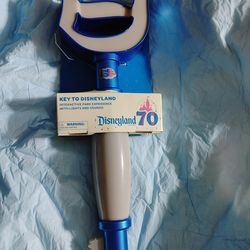 DISNEY MAGIC KEY