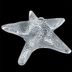 Flawless Exquisite Blenko Glass Starfish Sea Star Crystal Figurine Nautical Oceanic Sailor Decor Paperweight