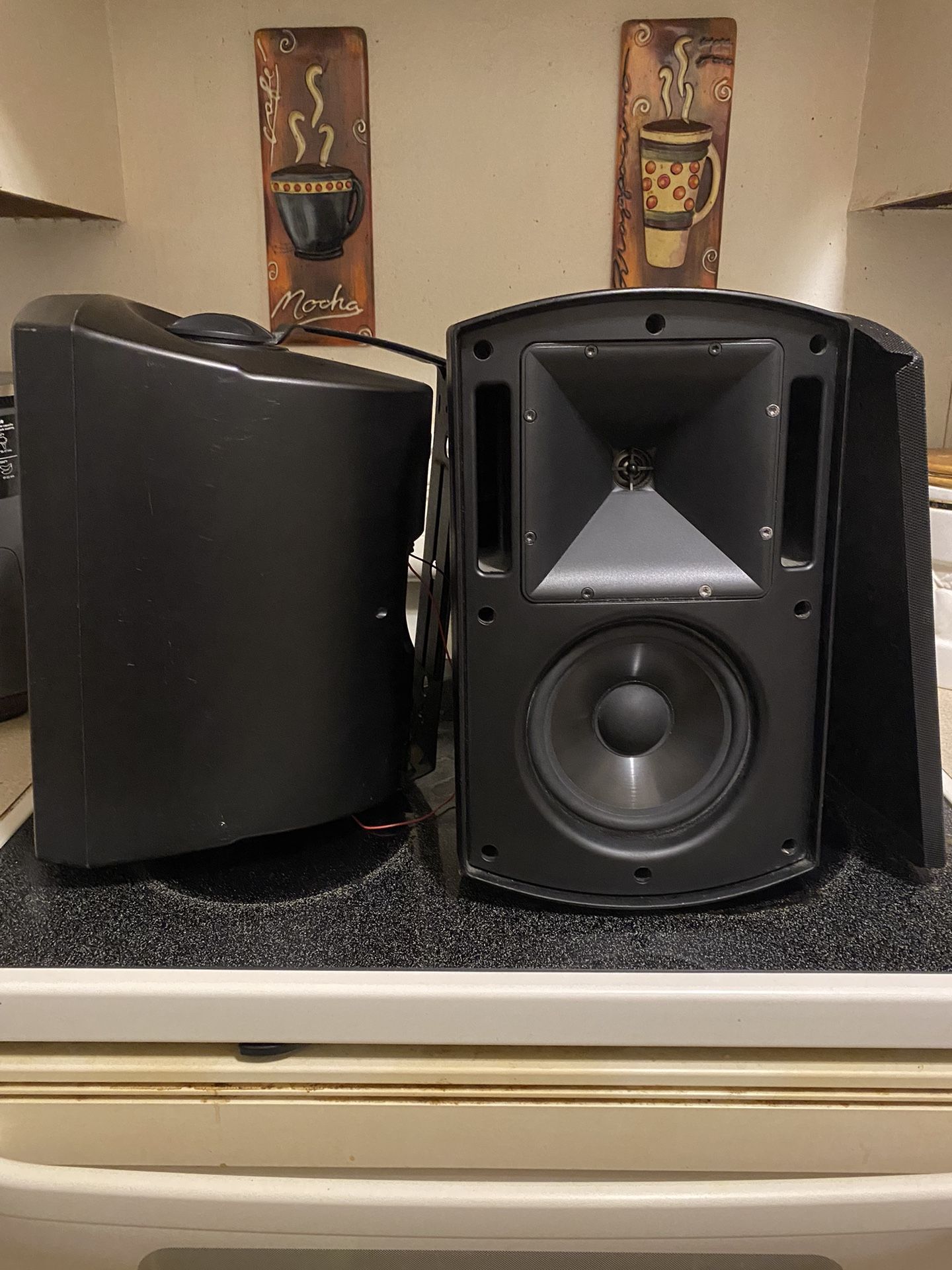 Klipsch AW-650 Outdoor Speakers