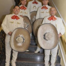 Trompeta Violin Mariachi