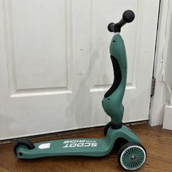 Scoot And Ride Scooter