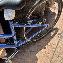 Schwinn Railway Woman Bike And Gt Palomar