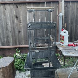 Bird Cage