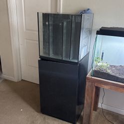20 G Saltwater Tank 