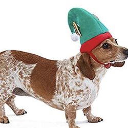 Elf pet Holiday Hat