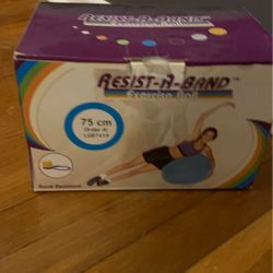 Exercise ball
