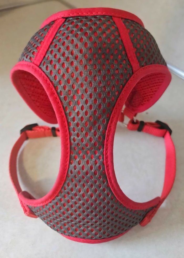 Small Puppy / Dog Harness Red / Black