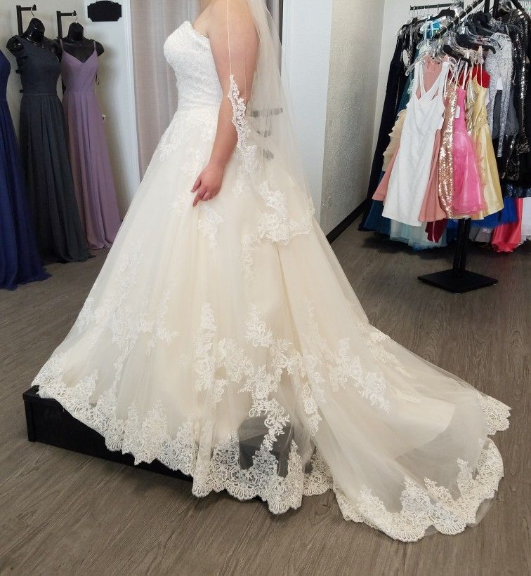 New Wedding Dress