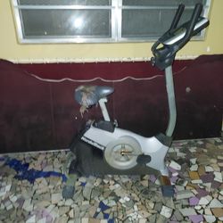 Nordic exercise bike stationary