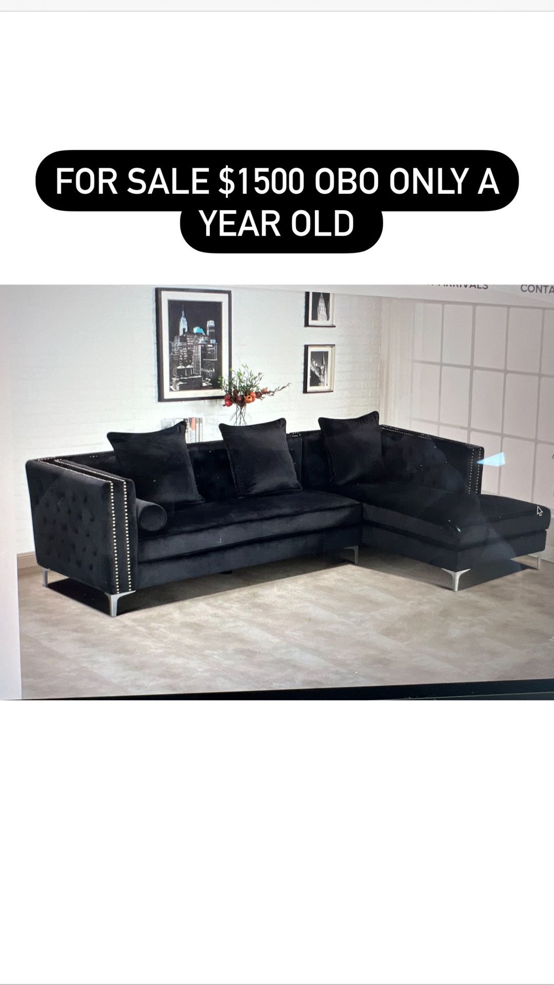Black Velvet Sectional 